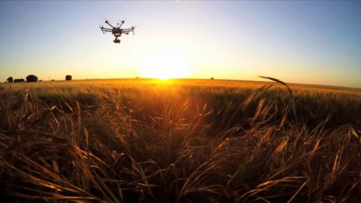 Lovec iz zraka sklatil dron