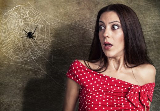 7 trikov, kako se rešite pajkov iz postelje