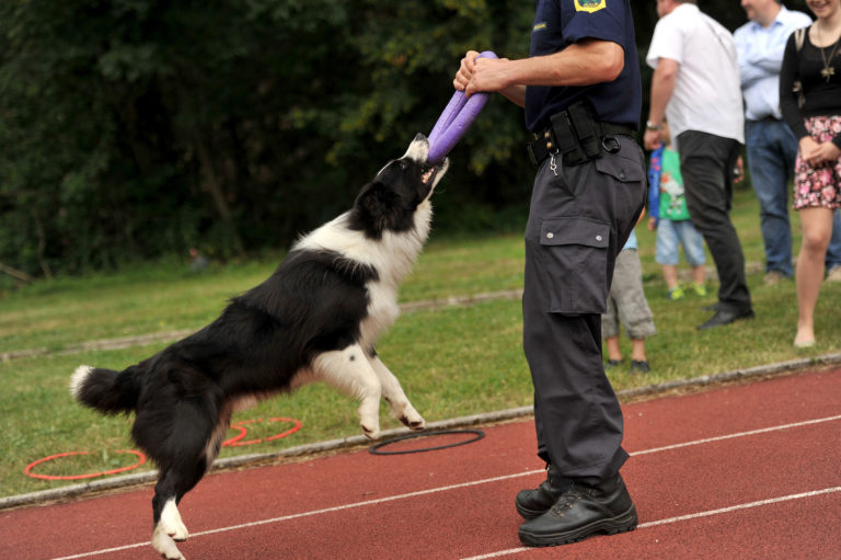 36-letnik je v težavah: To so mu zasegli med hišno preiskavo