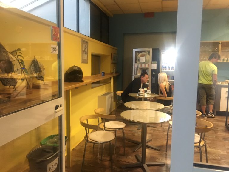 Rado Mulej: Osvaja poročeno?!