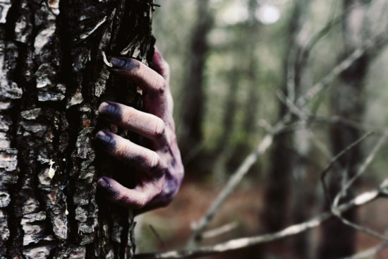 Grozljivka na Dolenjskem! Ustreljen v hrbet se je odvlekel v gozd, moška sta se poznala