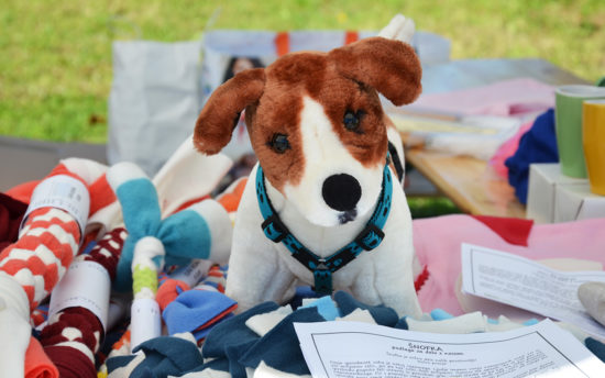 S starim papirjem za pomoč živalim