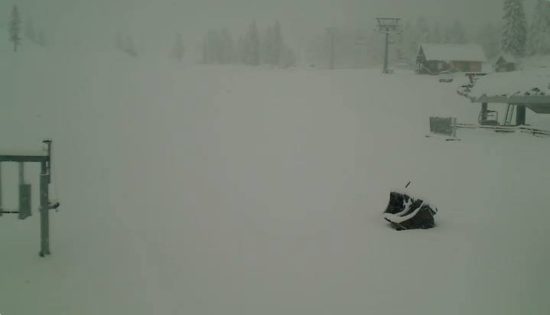 FOTO: SLOVENIJO JE POBELIL SNEG Do večera se pričakuje obilne padavine