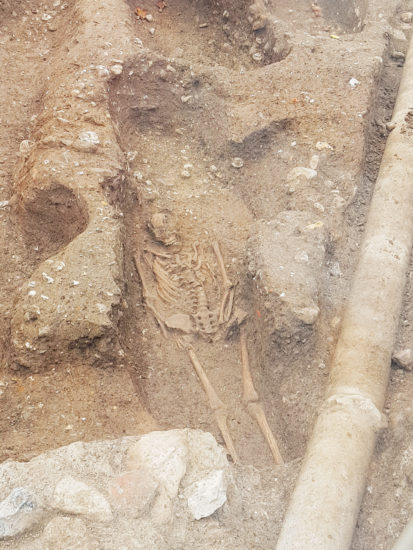 Okostnjak sredi Ljubljane!