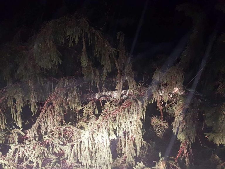 ORKANSKI VETER PUSTOŠI PO SLOVENIJI Ceste in šole so zaprte