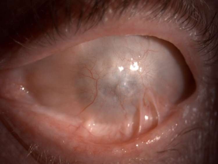 FOTO: STE SLIŠALI, KAJ JE USPELO SLOVENCEM? 20 let ni videl, potem pa …