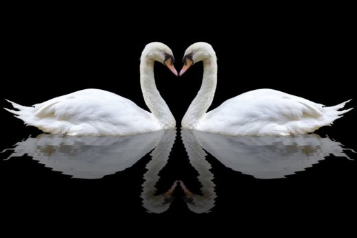 FOTO: Prvi lik, ki ga zagledate, vam bo izdal, ali ste rojeni vodja.