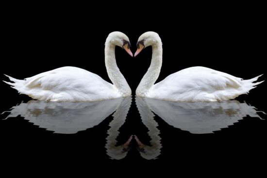 FOTO: Prvi lik, ki ga zagledate, vam bo izdal, ali ste rojeni vodja.