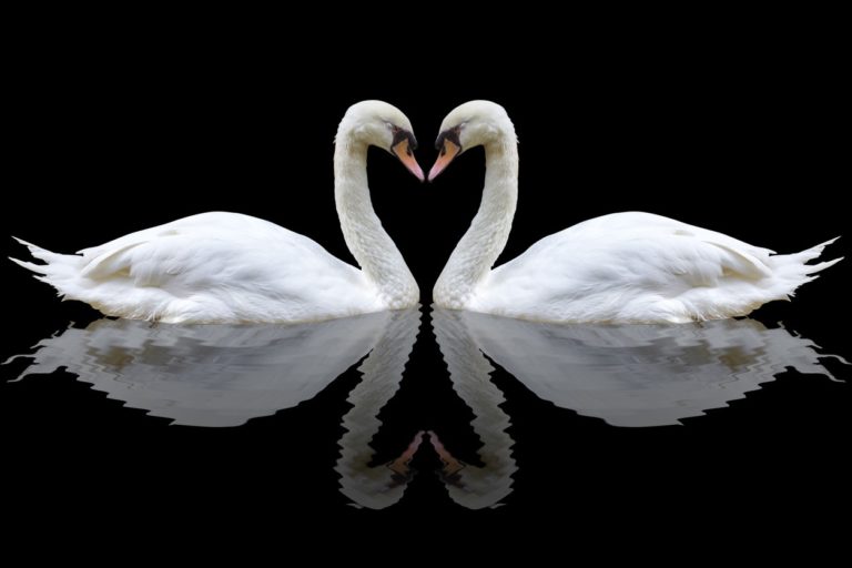 FOTO: Prvi lik, ki ga zagledate, vam bo izdal, ali ste rojeni vodja.