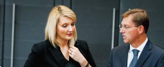 Cerarjeva ministrica pogorela