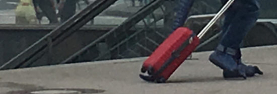 EKSKLUZIVNO (FOTO): Nezemljan v Ljubljani!