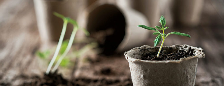 VRT: Za zgodnejši pomladanski pridelek