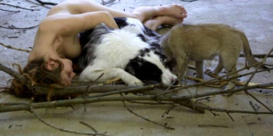 Slovenija se zgraža: Twitter ponorel ob nagrajenih “umetnicah” – pasji dojilji in uničevalki slovenske zastave