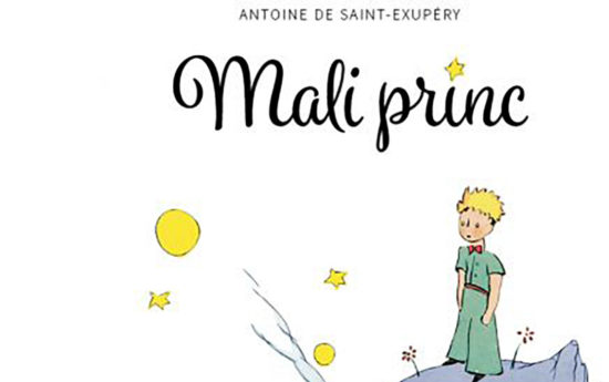 VIKEND BRANJE: Mali princ