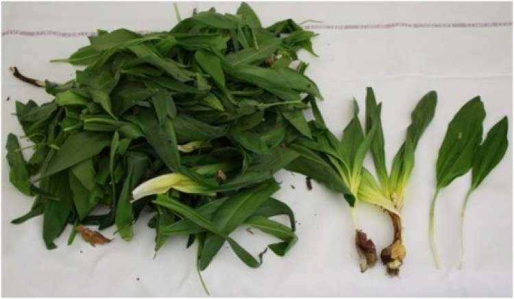 USODNA ZAMENJAVA Na UKC najprej umrla žena, nato še njen mož