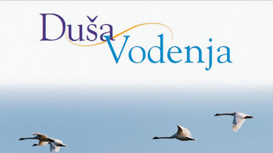VIKEND BRANJE: Duša vodenja