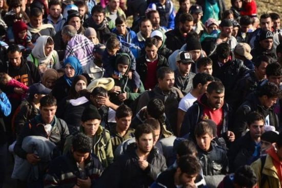 POZOR! Slovenska policija opozarja: ILEGALNI MIGRANTI NA MEJI SO NEVARNI!