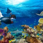 12 avanturističnih potovanj, ki jih morate doživeti