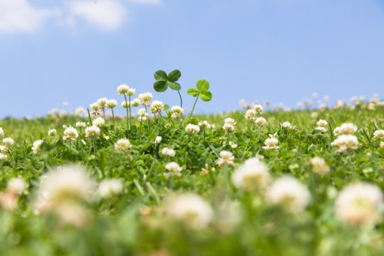 Osebo so morali izvleči izpod prevrnjenega vozila