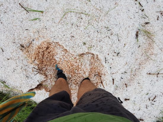 VIDEO: Črni petek v Istri, hudo neurje s točo, ponekod do 40 cm ledenih kapelj