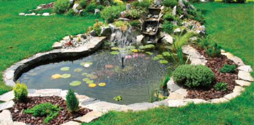 VIKEND BRANJE: Okrasni ribniki