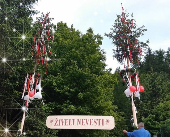 Še malo do usodnega DA: Miss simpatičnosti se bo poročila – z žensko!