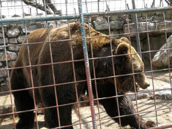 “Če še niste videli zapora v živo, lahko zastonj izkusite jetniško atrakcijo in njenega doživljenjsko obsojenega jetnika”