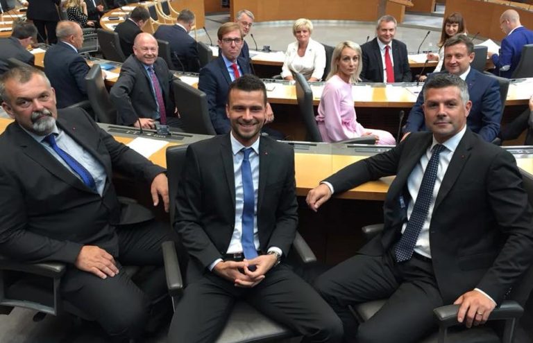 Škandalozna laž: Dokument iz parlamenta razkriva, kot kaj so prodajali strokovnjaka za svinje