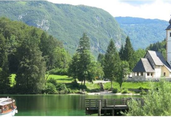 Na Bohinjskem jezeru so jo oživljali, žal je bilo prepozno