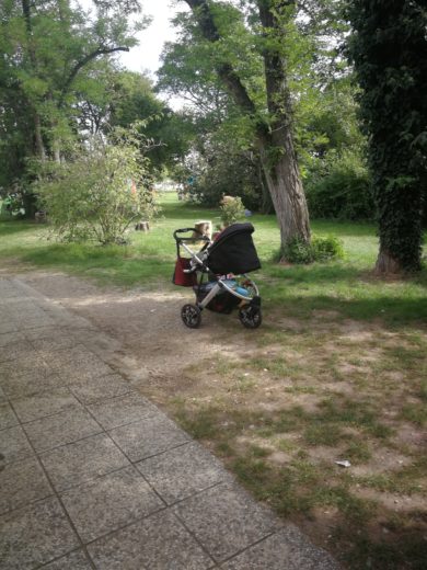 FOTO: OGORČENA BRALKA SE JE JAVILA IZ FIESE Malčka so v otroškem vozičku pustili samega pred WC-jem