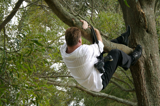 Tragično: Splezal na drevo in padel več metrov v globino