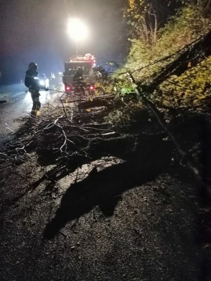 Veter popoldne rušil drevesa in oviral promet, jutri popoldne naj bi bilo še huje