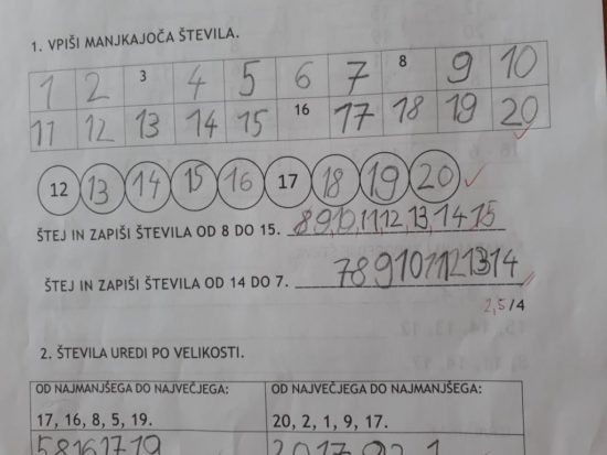 NOVA NOROST IZ SLOVENSKIH OSNOVNIH ŠOL? Tole rešujejo učenci stari sedem let