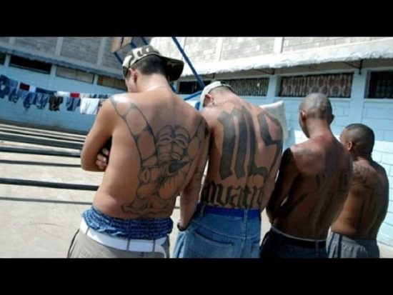 Mafijski ilegalni priseljenci zabodli najstnika