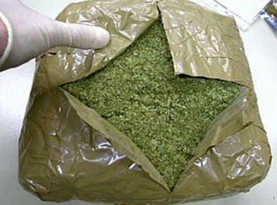 Trava, pa ne morska, na hrvaški obali