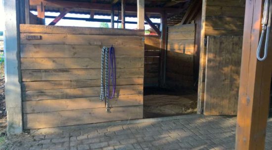 Padla v hlevu