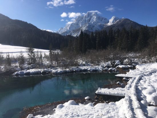 Pretresljiva najdba v naravnem rezervatu Zelenci: truplo