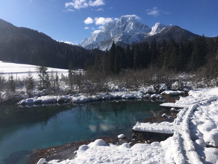 Pretresljiva najdba v naravnem rezervatu Zelenci: truplo