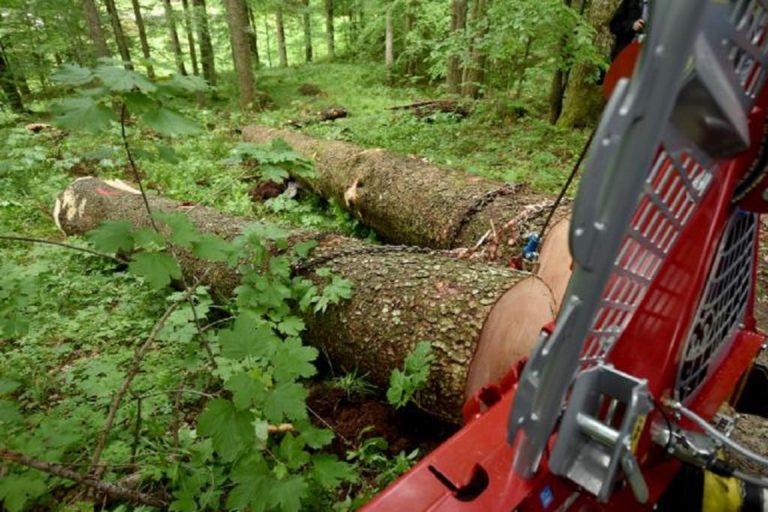 Ponesečenega iz gozda reševali s traktorjem