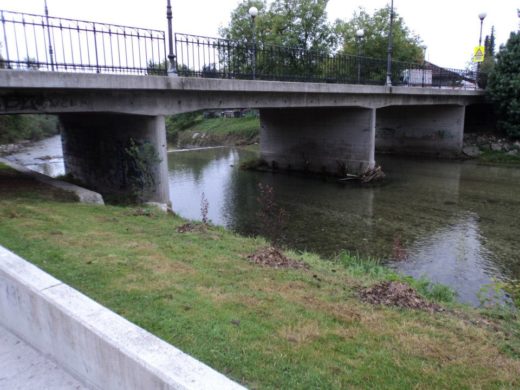 Močno v ograjo mostu, do rešilca so ga morali prenesti