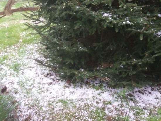 Pozor, skoraj za polovico Slovenije prižgan alarm za točo