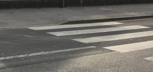 Na prehodu za pešce v otroka (11)