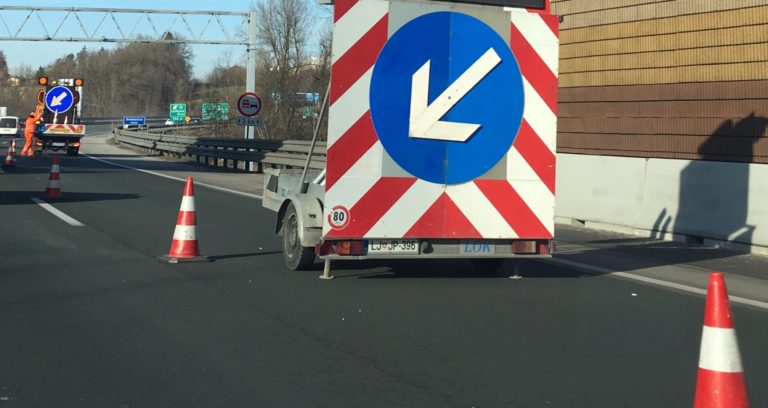 Po trčenju na avtocesti poginil prašič