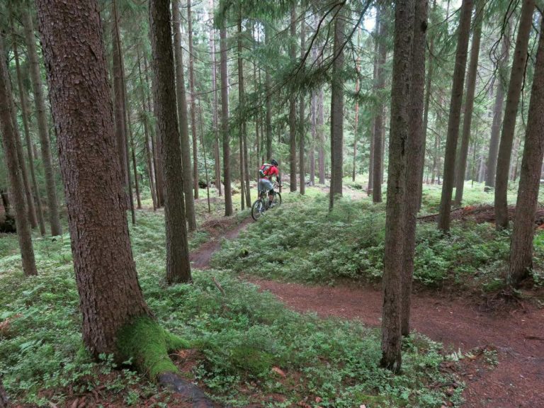 Nesreča na gozdni cesti, prva pomoč žal neuspešna