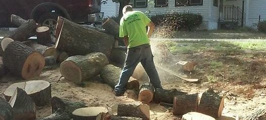 Hlod zdrsnil, skupil jo je delavec (30)