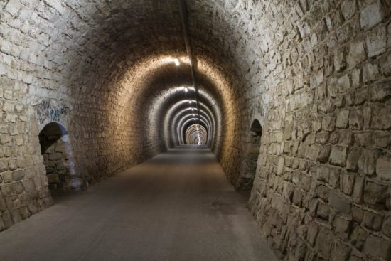 Pobegnil v predor, kjer ga je policija blokirala