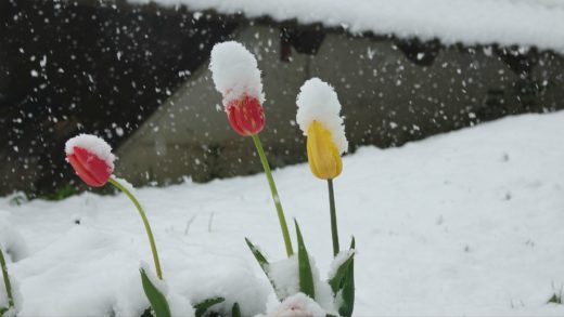 Arso za zajutraj napoveduje sneg: nizko bodo temperature in meja sneženja