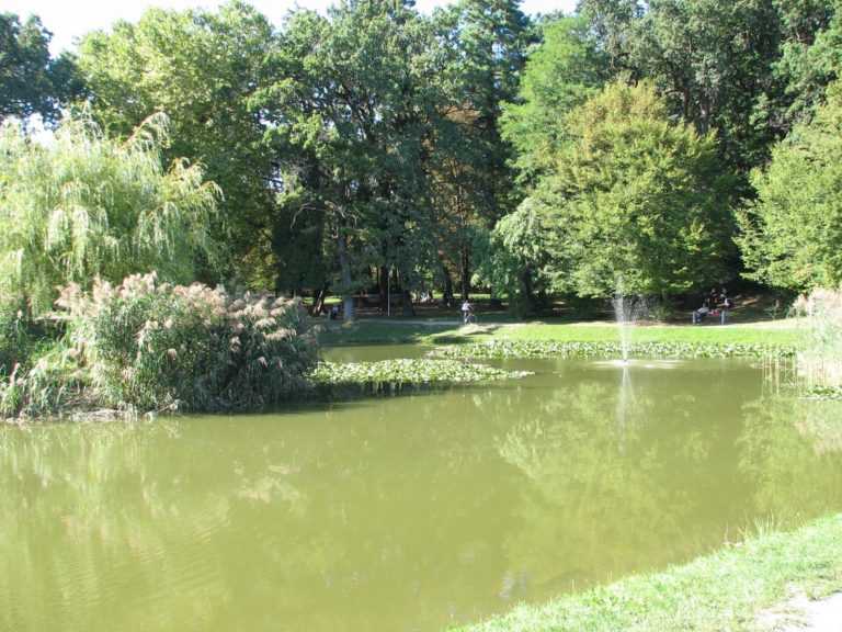 Pogin rib v Ljudskem vrtu