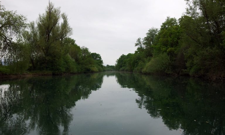 Padla v Ljubljanico, s čolni so jo iskali, a zaman