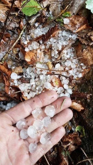 Saj ni res! Včeraj pustošilo neurje, danes pol Slovenije spet v rdečem